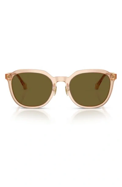 Versace 55mm Phantos Sunglasses In Dark Brown