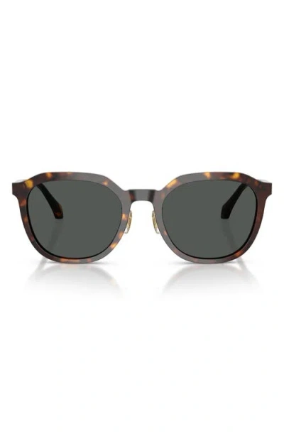Versace 55mm Phantos Sunglasses In Dark Havana