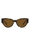 Versace 55mm Polarized Cat Eye Sunglasses In Havana/polarized Brown