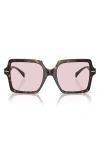 Versace 0ve4441 Sunglasses In Havana