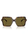 Versace Medusa Head Square-frame Sunglasses In Havana