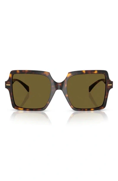 Versace 55mm Square Sunglasses In Havana