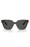 Versace Greca Strass Butterfly-frame Sunglasses In Havana