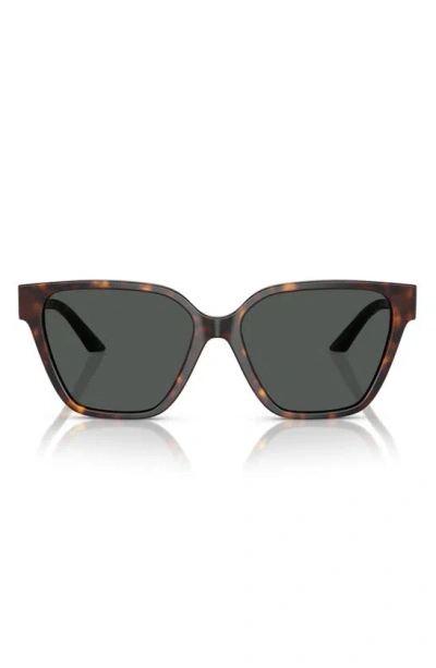 Versace 56mm Butterfly Sunglasses In Havana