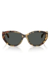 Versace 56mm Gradient Oval Sunglasses In Brown