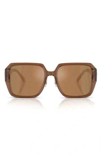 Versace 56mm Square Sunglasses In Brown | ModeSens