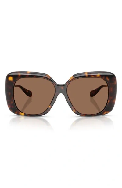 Versace 57mm Square Sunglasses In Brown