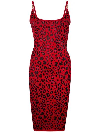 Versace Animal Print Sleeveless Dress In Red
