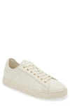 Versace Barocco Greca Low Top Sneaker In Snow- Gold