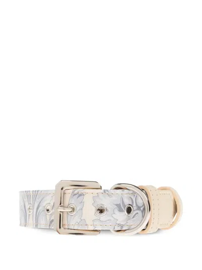 Versace Barocco-print Dog Collar In Neutrals