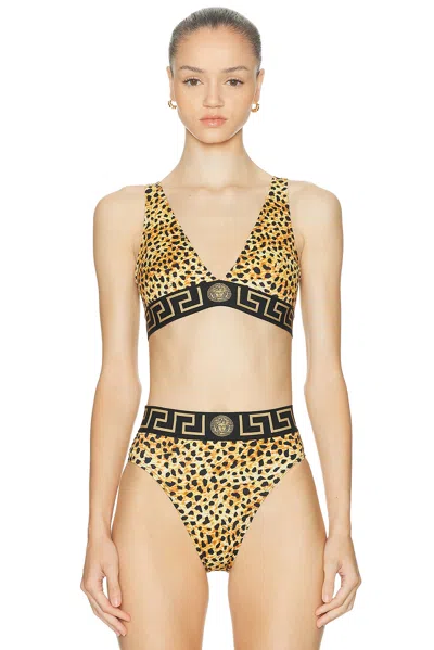 Versace Bikini Top In Neutral