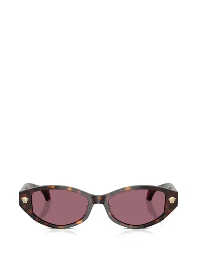 Versace Cat-eye Sunglasses In Brown