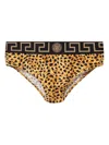 Versace Cheetah-print Briefs In Yellow
