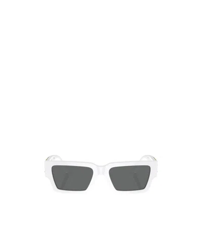 Versace Contrast-color Thick Frame Sunglasses In Gray