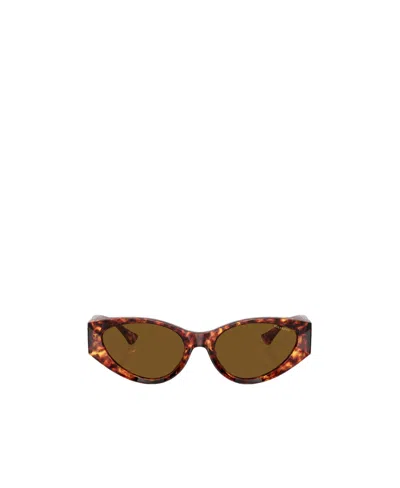 Versace Womens Brown Ve4454 Cat Eye-frame Acetate Sunglasses