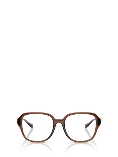 Versace Eyewear Eyeglasses In Brown