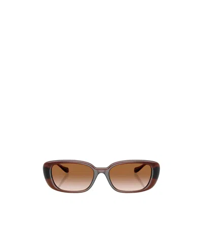 Versace Eyewear Pillow Frame Sunglasses In Brown