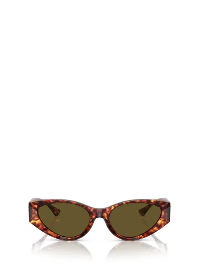 Versace Eyewear Sunglasses In Brown