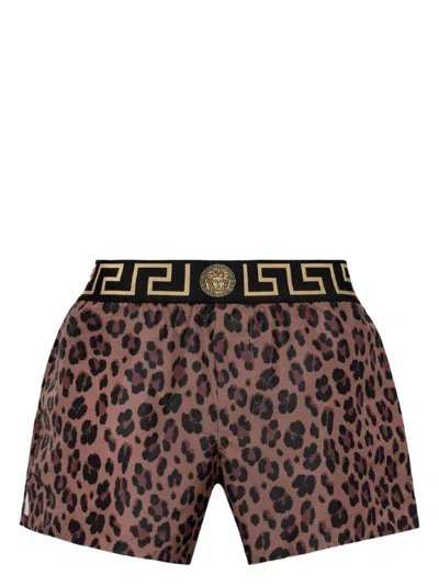 Versace Greca Border Leopard-print Boxers In Multi