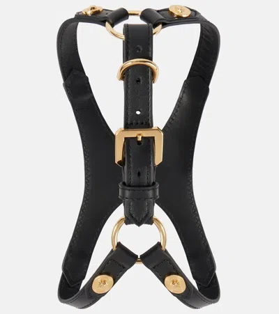 Versace Home Leather Dog Harness