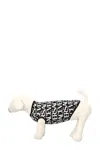 Versace Home Logo Print Dog T-shirt