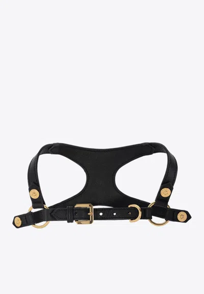 Versace Icon Leather Pet Harness In Black