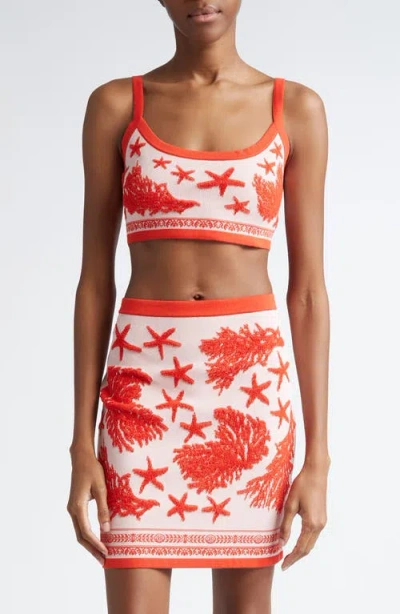 Versace Jacquard Knit Crop Top In Dusty Rose