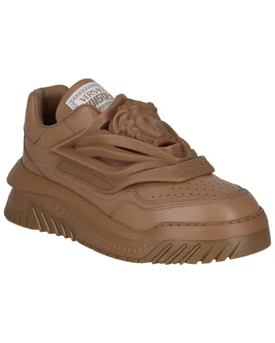 Versace Leather Sneakers In Brown