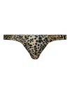 Versace Leopard-print Bikini Bottoms In Black