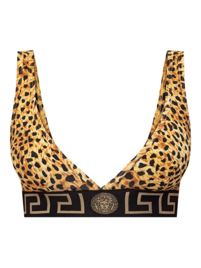 Versace Leopard-print Logo-band Bra In Yellow
