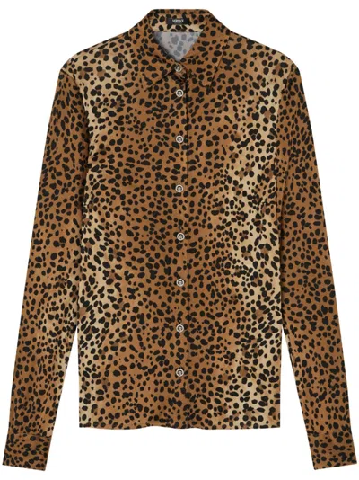 Versace Leopard Fitted Shirt In Animalier
