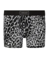 Versace Leopard-print Waistband Boxers In Animal Print