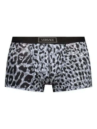 Versace Leopard-print Waistband Boxers In Black