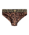 Versace Leopard-print Bikini Bottoms In Black