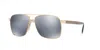 Versace Man Sunglass Ve2174 In Dark Grey Mirror Silver Polar