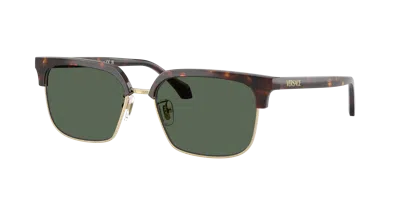 Versace Man Sunglass Ve4494d In Green