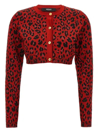VERSACE MAROON ANIMAL PRINT CROPPED CARDIGAN