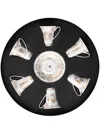 Versace Medusa Gala Cups And Saucers (set Of Six) In Gold