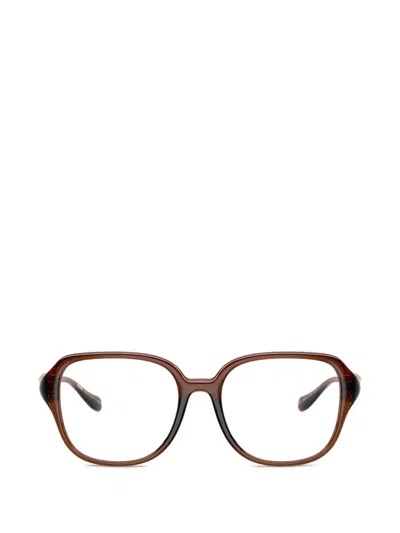 Versace Medusa Head Glasses In Brown