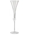 VERSACE CLEAR MEDUSA LUMIERE CRYSTAL CHAMPAGNE GLASS