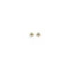Versace Medusa Stud Earrings In Black