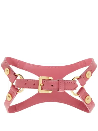 Versace Medusa-stud Pet Harness In Pink