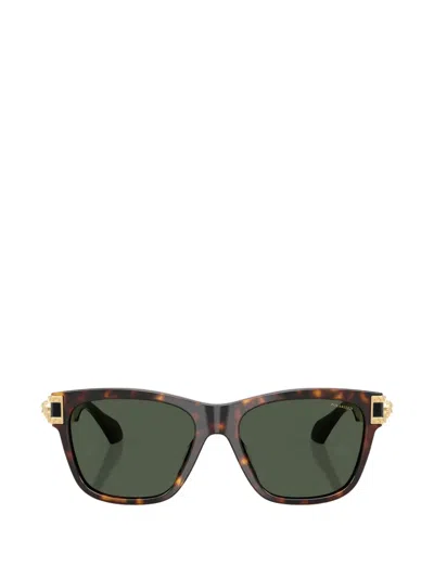Versace Medusa-plaque Sunglasses In Brown