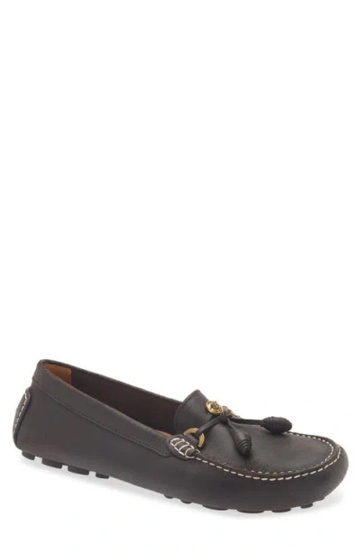 Versace Nubuck Driving Loafer In Black