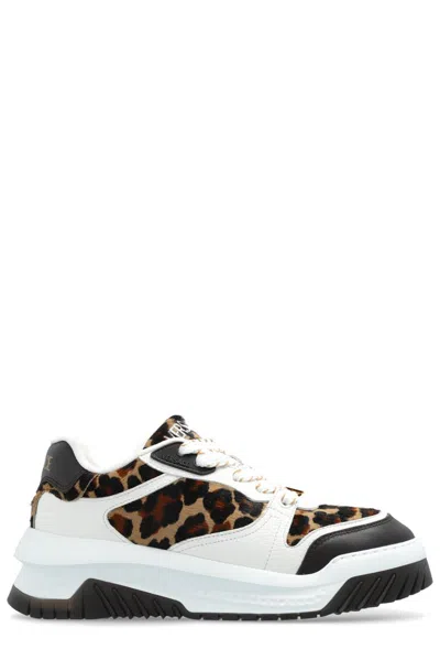 Versace Odissea Sneakers In White