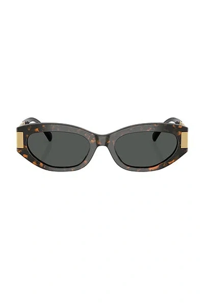 Versace Oval Sunglasses In Brown