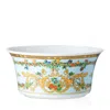 Versace Butterfly Garden Vegetable Bowl