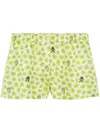 Versace Silk Twill Shorts With Strawberry Garden Print In Green
