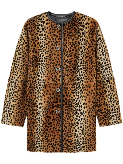 Versace Leopard Pony-effect Collarless Coat In Animalier