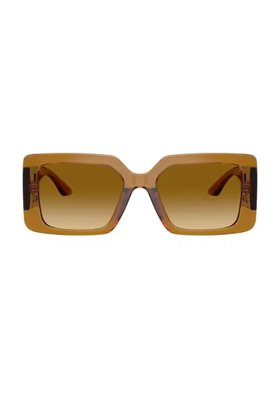 Versace Square Sunglasses In Translucent Brown